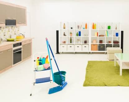 <p style="font-family: 'Poppins', sans-serif; font-weight: 700; font-size:24px;">RESIDENTIAL CLEANING</p>
